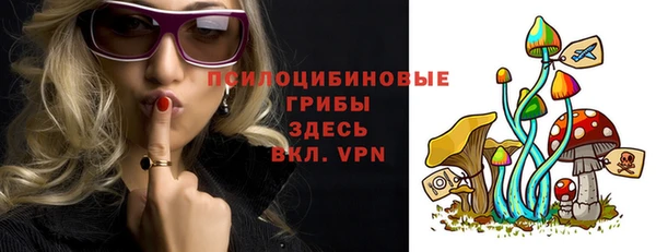 первитин Коряжма