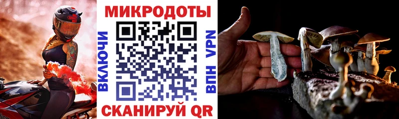 Купить Железногорск Галлюциногенные грибы Psilocybine cubensis